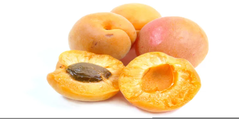 apricot