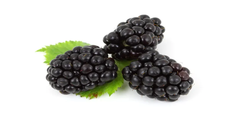 berry