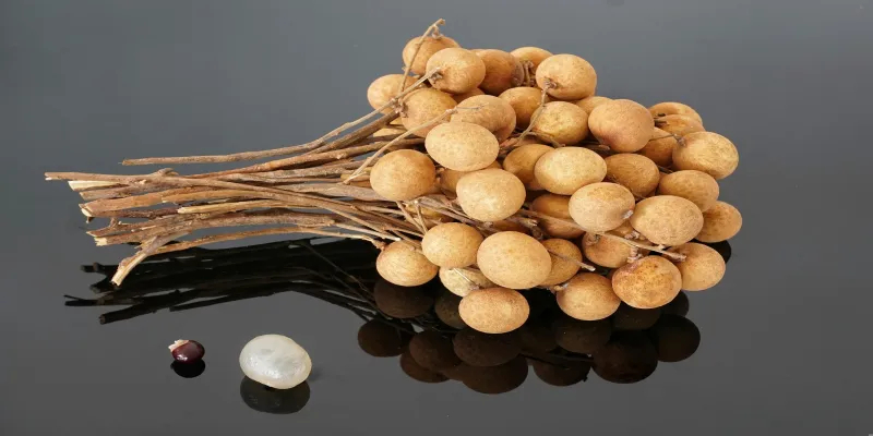 longan