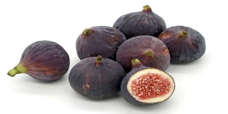 fig fruit