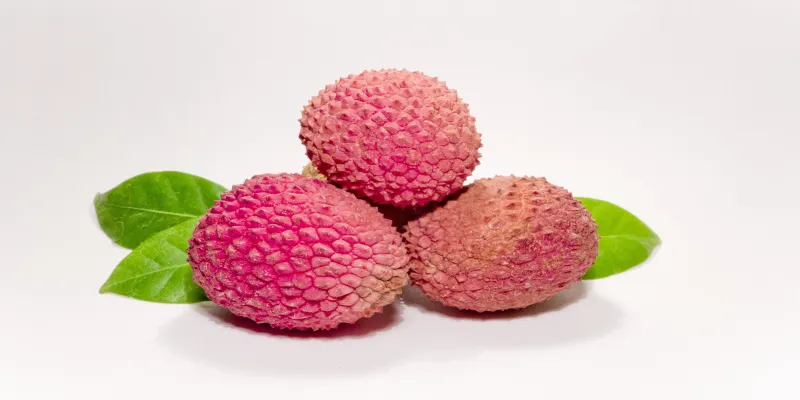 lychee