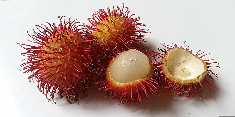 rambutan